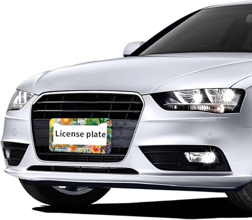 Summer Beach License Plate Frames