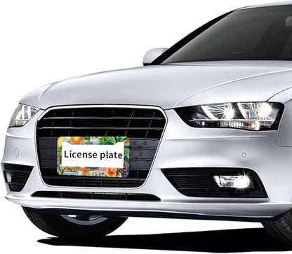 Summer Beach License Plate Frames