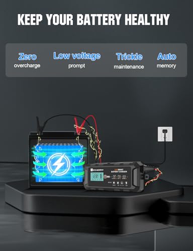 12V 10A Battery Charger for Lead