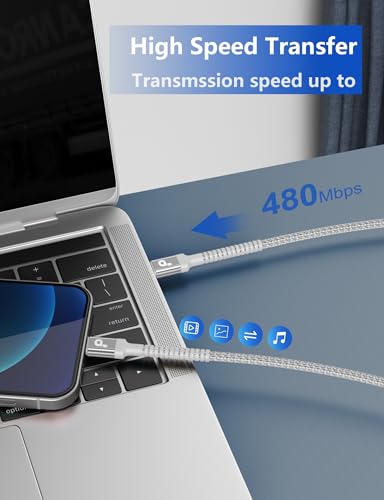 USB C to USB C Cable 10FT
