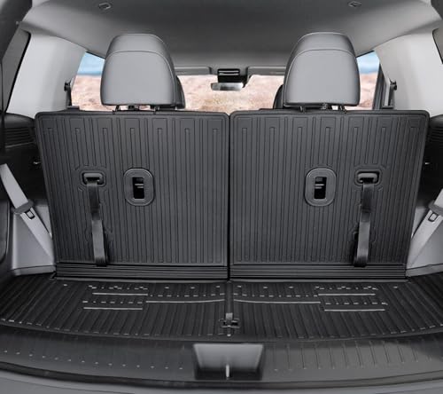 Floor Mats for 2024