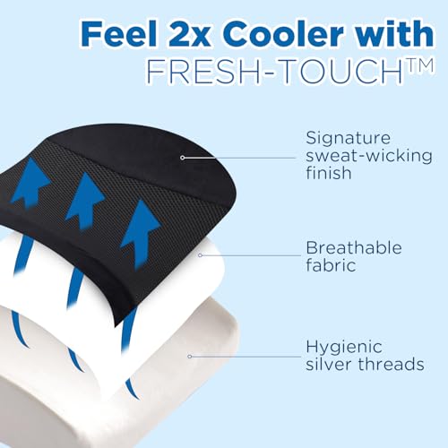 Lumbar Support Pillow for Office Chair Car
