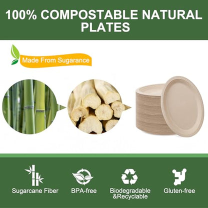 100% Compostable Oval Paper Plates 12 Inch 125 (125 Count)