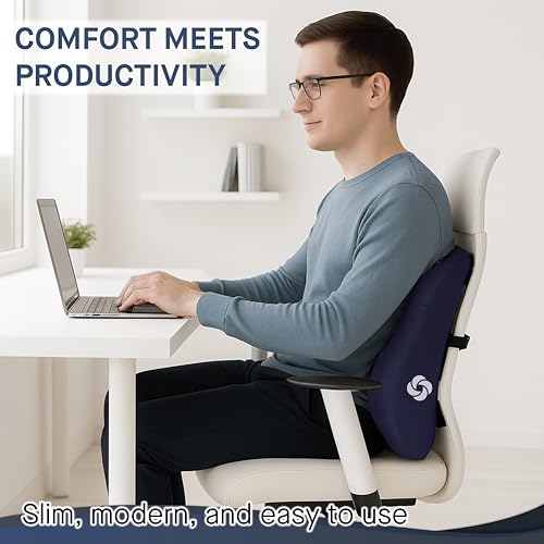 Ergonomic Lumbar Support Pillow for Office Chair and Car Seat