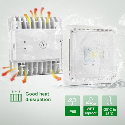 LED Canopy Garage Light 30W