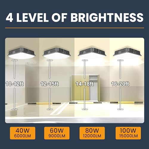 100W LED Canopy Lights 4Pack (4 Count)
