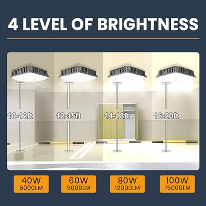 LED Canopy Light 100W