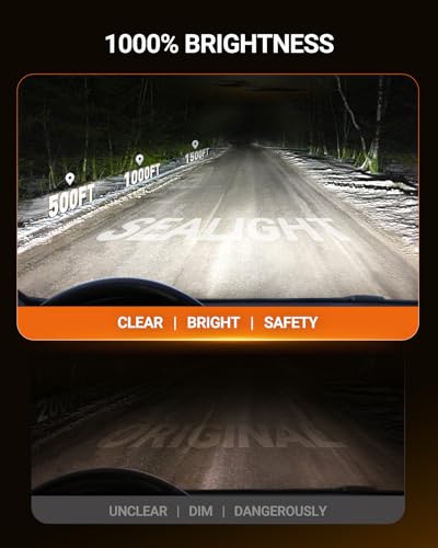 D1S D1R HID Bulbs (2 Count)
