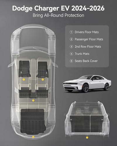 Floor Mats & Cargo Liner & Seatback Mats for 2024