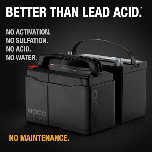 Lithium NLX31 Deep Cycle & Starter Battery