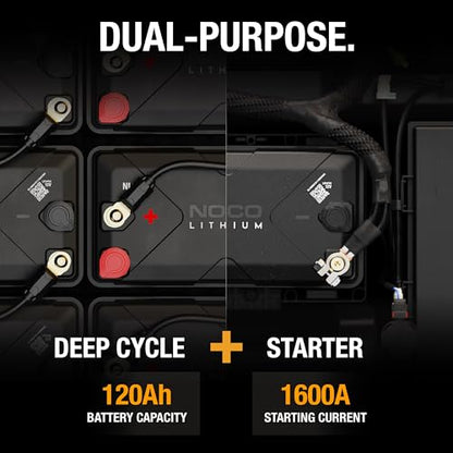Lithium NLX31 Deep Cycle & Starter Battery