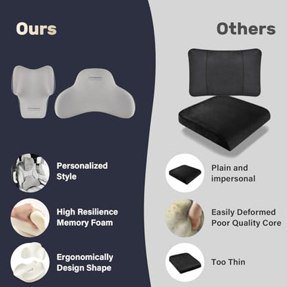 Lumbar Support Pillow and Car Neck Pillow (2 Count)