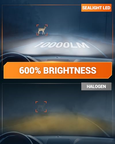 9006 LED Fog Light Bulbs (2 Count)