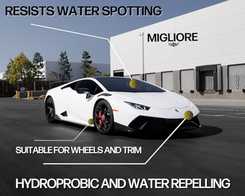 Infusione Graphene Infused Show Car Carnauba Wax (7.5 Ounce)