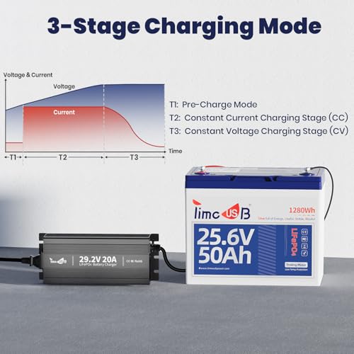 24V 20A Mini LiFePO4 Lithium Battery Charger with LED Indicators