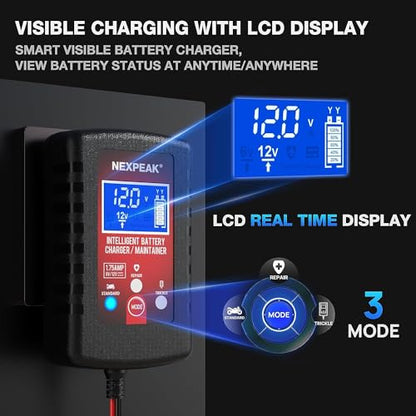 3 Pack 1.75A Car Battery Charger (3 Count)