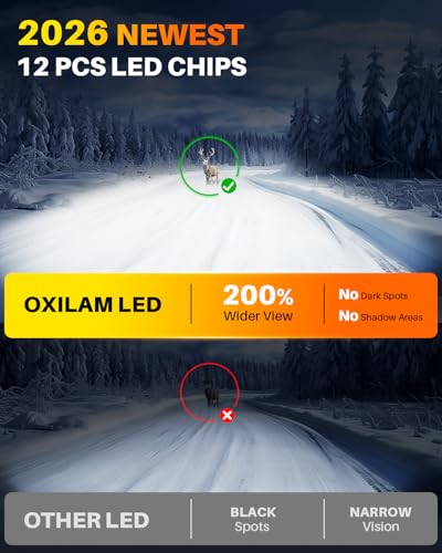H13 LED Light Bulb (2 Count)