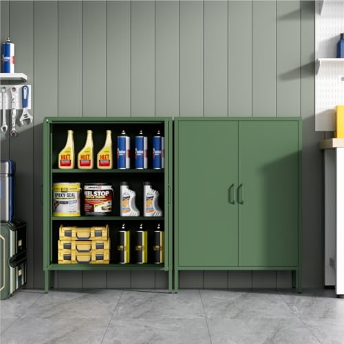 Metal Storage Cabinet with Doors and Shelves