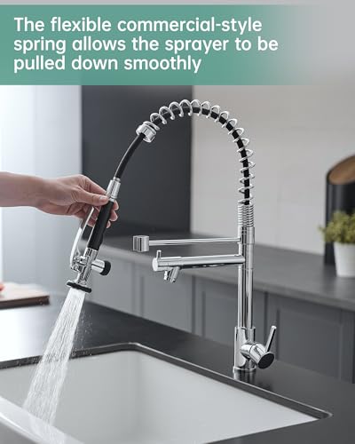 Chrome Kitchen Faucet with Sprayer
