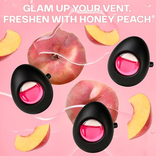 Car Air Freshener Vent Clip 4 Ct (4 Count)