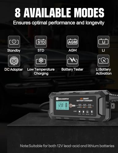 12V 10A Battery Charger for Lead