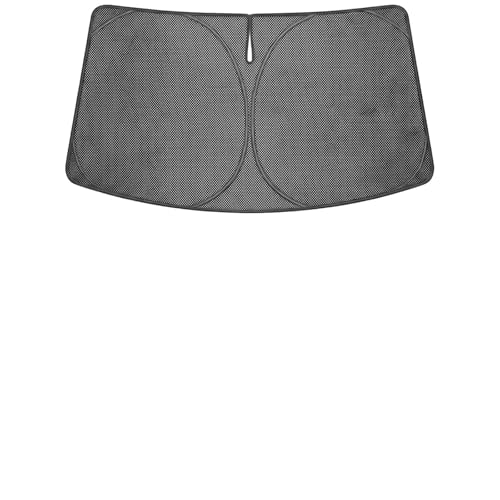 Custom Fit 2024