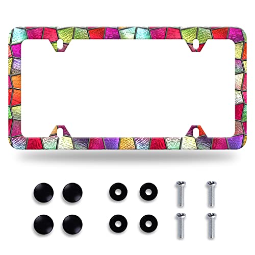 Pretty Glass License Plate Frame Stainless Steel Accessory 12.3x6.3 Inch
