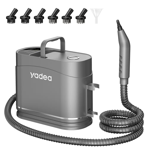 Steam Cleaner