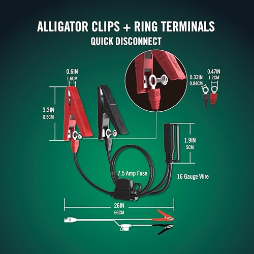 Junior 12V 750mA Charger and Maintainer