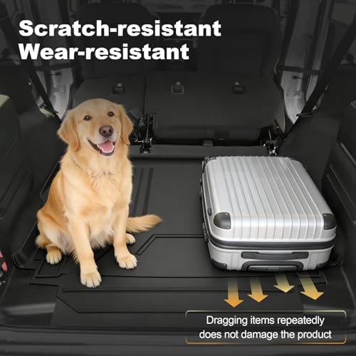 Cargo Liner for 2018