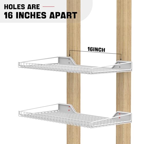 Wall Mounted Storage Shelf for Garage (2 Count)