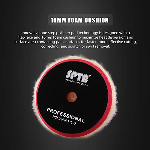 Wool Polishing Pads (2 Count)