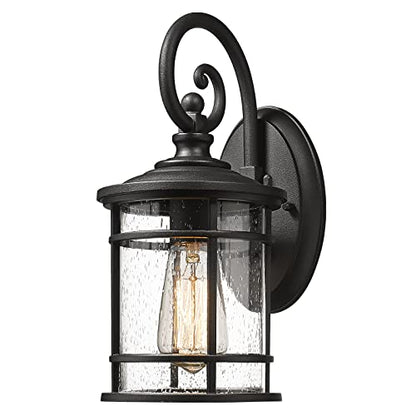 Outdoor Wall Light Fixture
