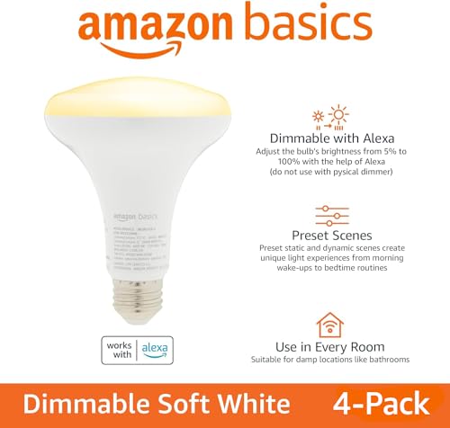 Smart BR30 LED Light Bulbs for Bedroom Living Room (4 Count)