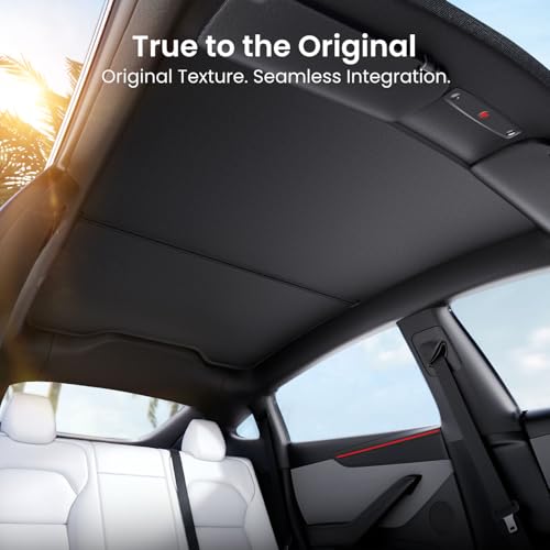 Tesla Model Y Juniper (2 Count)