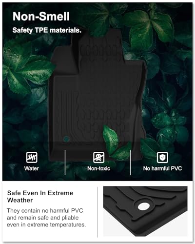 Floor Mats & Cargo Mat for 2017
