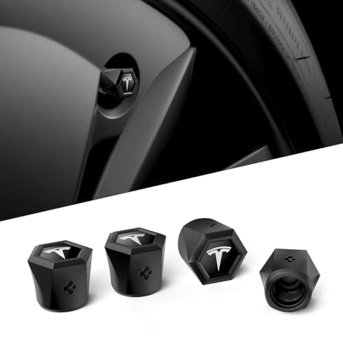 Magnetic Car Tire Valve Caps in Silver (4 Count)