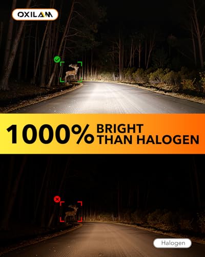 H13 LED Bulbs (2 Count)