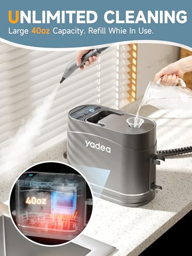 Steam Cleaner