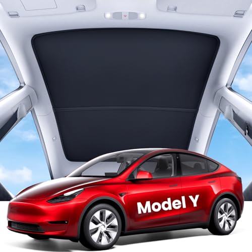 Tesla Model Y (2 Count)