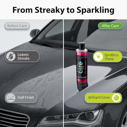 Care Car Shampoo and Soap (16 Fl Oz)