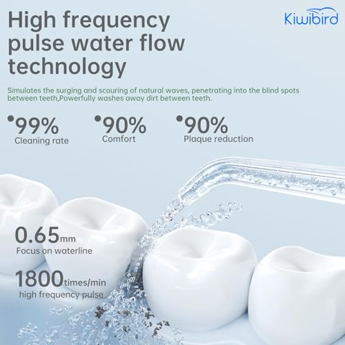 Mini Water Flosser for Travel