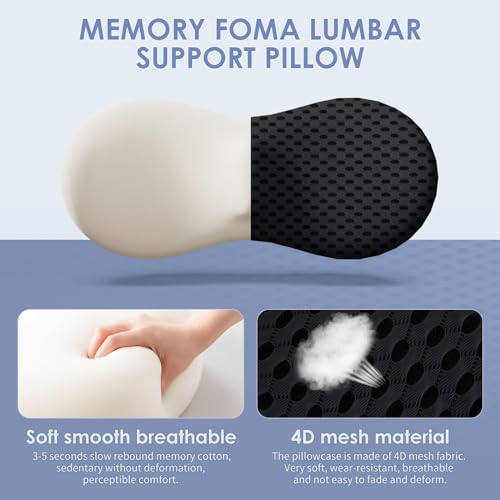 Lumbar Support Pillow for Office Chair