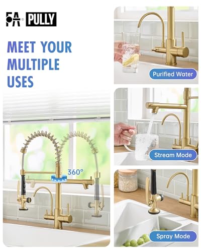 3 Way Kitchen Faucets with Sprayer and Water Filter Brushed Gold