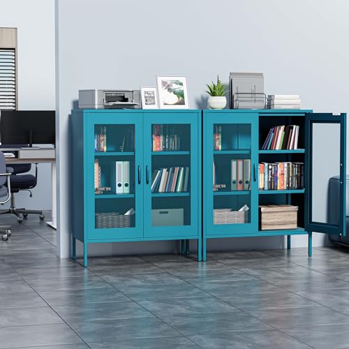 Metal Storage Cabinet with Mesh Doors