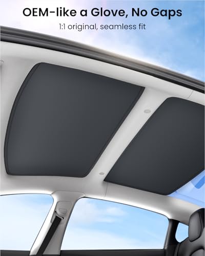 Tesla Model 3 (2 Count)