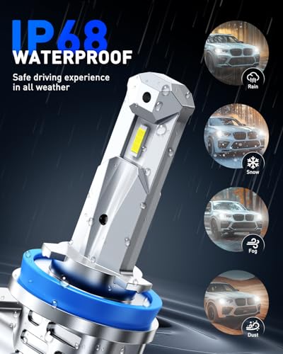 H11 LED Bulbs (2 Count)