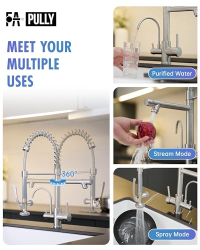 3 in 1 Faucet for Kitchen Sink