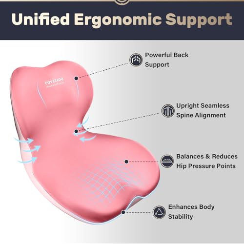 Seat Cushion and Lumbar Support Pillow One Piece for Car Office Chair
