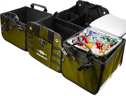 Thermal Cooler for Car Trunk